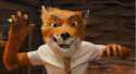 Fantastic-Mr-Fox-3.jpg
