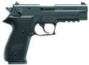 22 Calibre Hand Gun.png