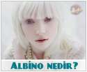 albino3.jpg