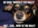 Really-High-Dog-Meme-Wonders-The-Big-Questions-About-The-Ball.jpg