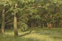 Лесная поляна (The Forest Clearing), 1896 - Ivan Shishkin.jpg