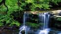 nature_landscapes_waterfall_rivers_streamcliff_rock_timelapse_trees_forests_spring_seasons_spray_fog_mist_scenic_1920x1080.jpg