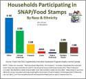 2013-Food-Stamp-by-race-chart.jpg