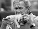 George-Bush-Eats-Kitten-1259.jpg
