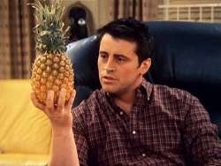 Contemplating_The_Pineapple.jpg