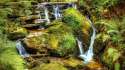 river_stream_waterfall_stones_moss_plants_nature.jpg