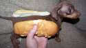 Hot dog.jpg