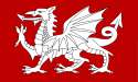 C__Data_Users_DefApps_Windows Phone_AppData_INTERNETEXPLORER_Temp_Saved Images_White_Dragon_Flag_of_England.png