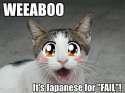 weeaboo_its_japanese_for_fail_trollcat.jpg
