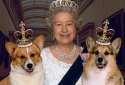 my royal puppers.png
