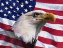 552923_Bald-Eagle-And-American-Flag.jpg