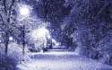 winter_night_snow_landscape_winter_night_snow_landscape_original.jpg