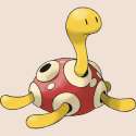 250px-213Shuckle.png