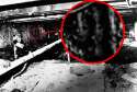 I noticed these young lads in a picture of John Wayne Gacy's basement.jpg