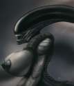 1391864 - Alien Xenomorph Xpray.png