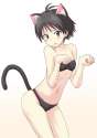 s - 342367 - 1girl animal_ears antenna_hair bikini black_eyes black_hair blush cat_ears cat_tail embarrassed idolmaster kikuchi_makoto kisugi.jpg