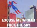 60s-spiderman-excuse-me-while-i-fuck-the-sky.jpg