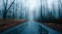 foggy-rainy-road-through-bare-forest-hd-wallpaper-581949.jpg