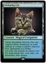 Immunity Cat card.jpg