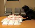 Police dog who busted a meth operation. Guess you could call him... a Meth Lab..jpg