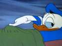 6.-Mornings-with-Donald-Duck-500x374.jpg
