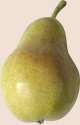 pear_PNG3462.png