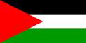 palestine_flag_drapeau_bandiera_bandeira_flagga-1979px.png