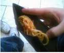 spaghetti money.jpg