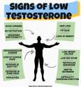 low-testosterone-sign-and-symptoms.jpg