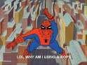 Spiderman-Memes-13.jpg