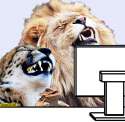 lion-cheetah-meme-laughing-in-front-of-computer-screen.jpg