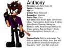 Anthony_the_Hedgehog.png