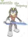 justin_the_hedgehog_by_sonicno1fanatic-d4pl7gb.png