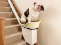 elevators-for-obese-dogs01.jpg