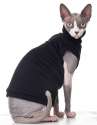 Sphynx_cat_wearing_clothes.jpg