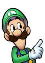 check em Luigi.png