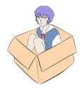 BOX REI COLOURED.png