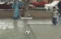 soccer ball + concrete = win.gif