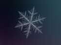 snowflake2-2.jpg