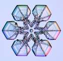 Snowflake-4-Plate-2-e1389979622539.jpg