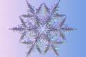 snowflake_shapes_and_science_0.jpg