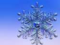 snowflake-1152.jpg__800x600_q85_crop.jpg