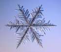 Real-Snowflakes-christmas-9447463-669-570.jpg
