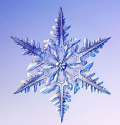 the_beauty_of_snowflakes_up_close_640_08.jpg