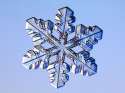patterns-in-nature-sectored-snowflake.jpg