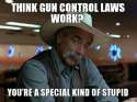 think-gun-control-laws-work-youre-a-special-kind-of-stupid.jpg