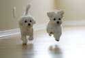 running-cute-puppies.jpg