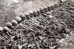 Armenian-genocide-bones_thumb.jpg