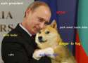 Russia-Bans-Internet-Memes-You-Can-No-Longer-Send-Sadimir-Putin-In-Russia-Russia-Has-Banned-All-Vladimir-Putin-Memes-275592.jpg