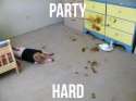 funny-party-hard-baby-diaper.jpg